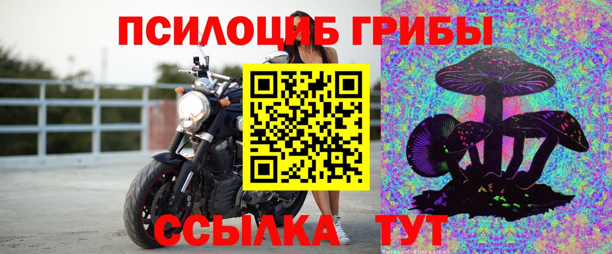 Галлюциногенные грибы мицелий  Вход с VPN  Ростов-на-Дону  Псилоцибиновые грибы Cubensis 